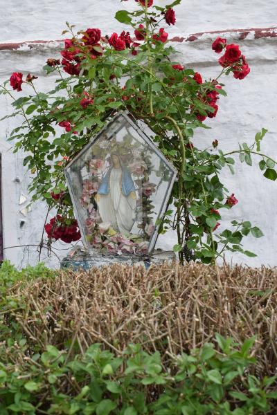 Wichrów w obiektywie - zwycięzca konkursu "Najpiękniejsza wieś w Gminie Kostomłoty"- miejsce I