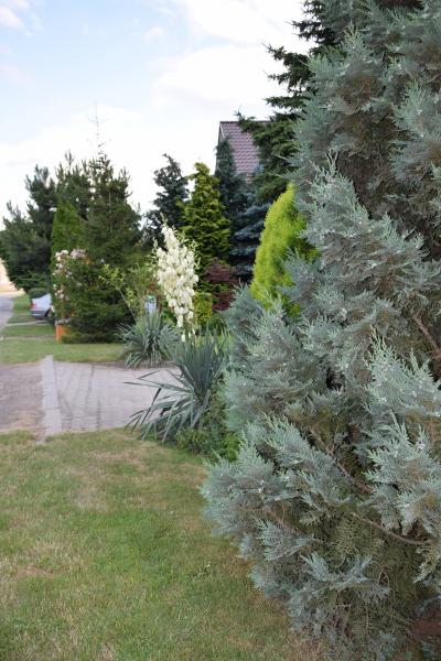 Godków w obiektywie - "Najpiękniejsza wieś w Gminie Kostomłoty"- miejsce II