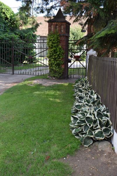 Godków w obiektywie - "Najpiękniejsza wieś w Gminie Kostomłoty"- miejsce II