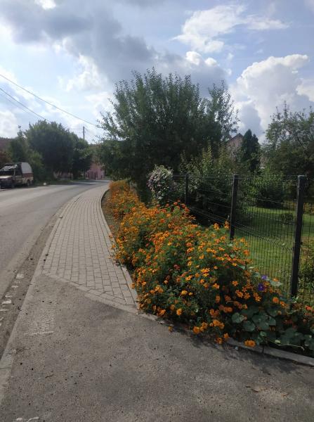 Chmielów w obiektywie - "Najpiękniejsza wieś w Gminie Kostomłoty"- miejsce III