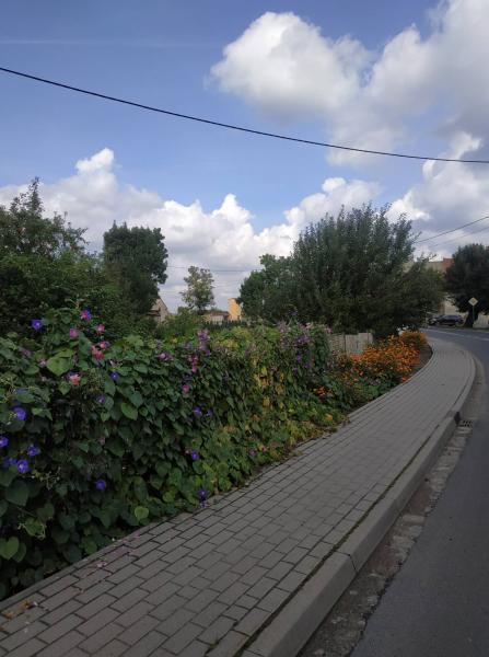 Chmielów w obiektywie - "Najpiękniejsza wieś w Gminie Kostomłoty"- miejsce III