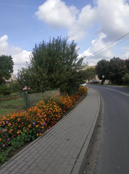 Chmielów w obiektywie - "Najpiękniejsza wieś w Gminie Kostomłoty"- miejsce III