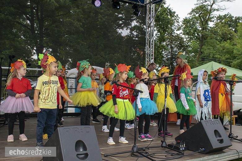 Żegnaj lato na rok... - impreza plenerowa w Malczycach za nami