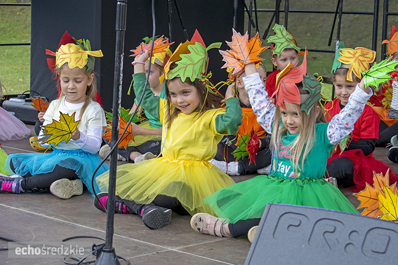 Żegnaj lato na rok... - impreza plenerowa w Malczycach za nami