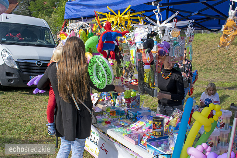 Charytatywny zlot samochodów modyfikowanych w Malczycach