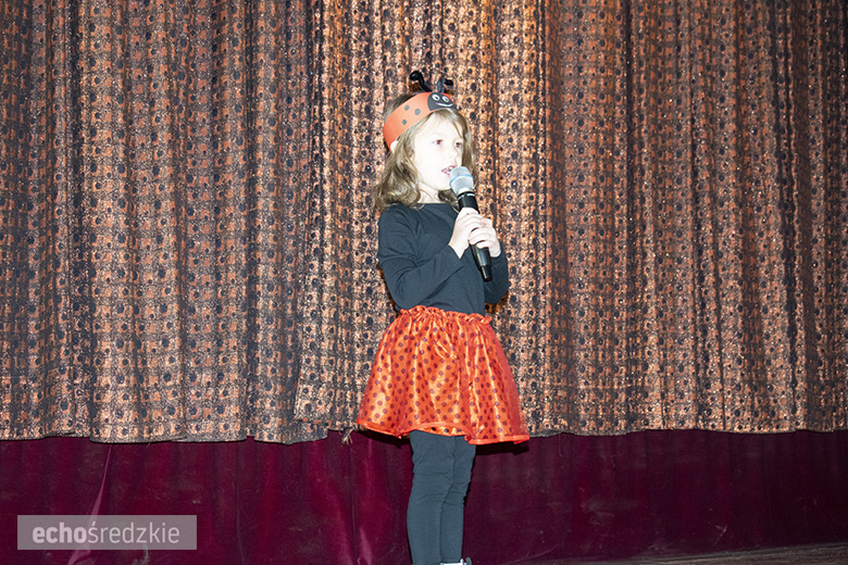 Jarmark Mikołajkowy w Kostomłotach