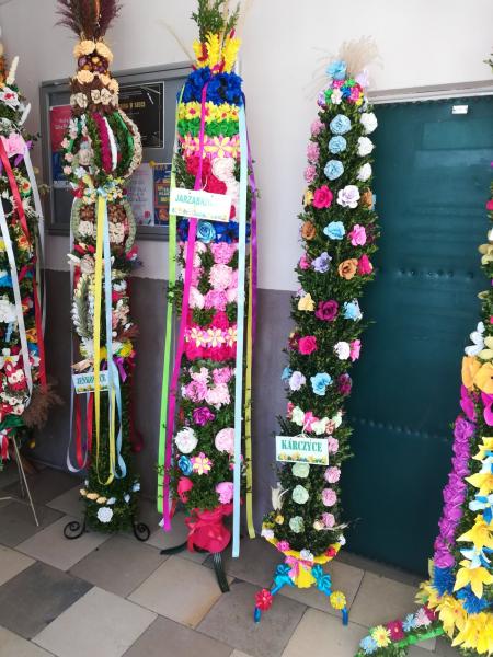 Konkurs na najpiękniejszą palmę rozstrzygnięty