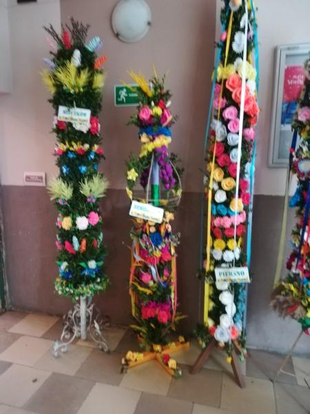 Konkurs na najpiękniejszą palmę rozstrzygnięty