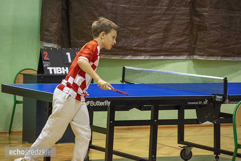 Turniej tenisa stołowego zwieńczony piknikiem w Wojczycach