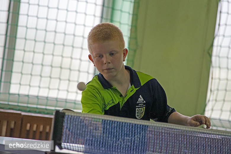 Turniej tenisa stołowego zwieńczony piknikiem w Wojczycach
