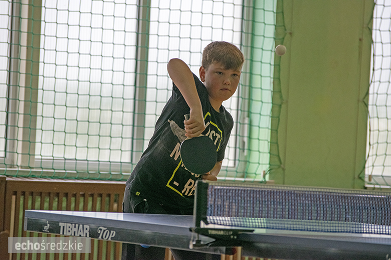 Turniej tenisa stołowego zwieńczony piknikiem w Wojczycach