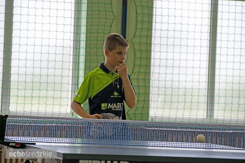 Turniej tenisa stołowego zwieńczony piknikiem w Wojczycach