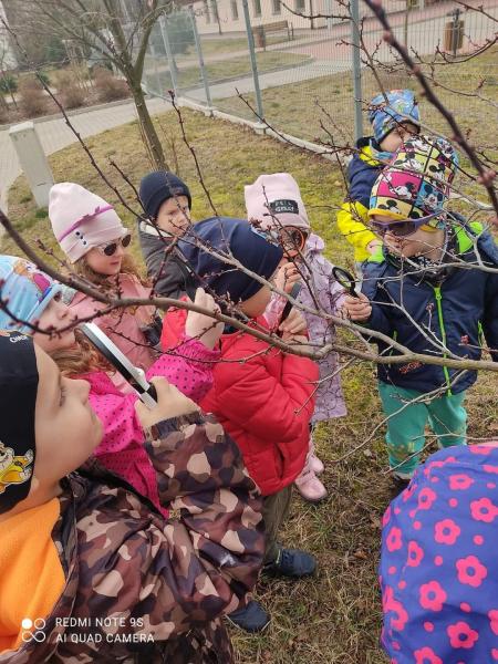 "Wyzwania Teodora" w Przedszkolu Publicznym w Szczepowie