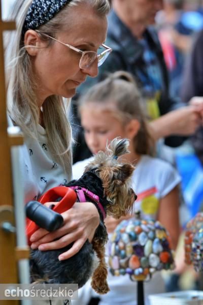 Turniej rycerski w Wojnowicach