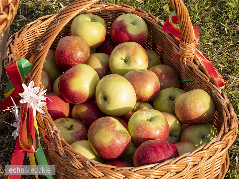 Kolejny skatepark na terenie gminy Miękinia oficjalnie otwarty