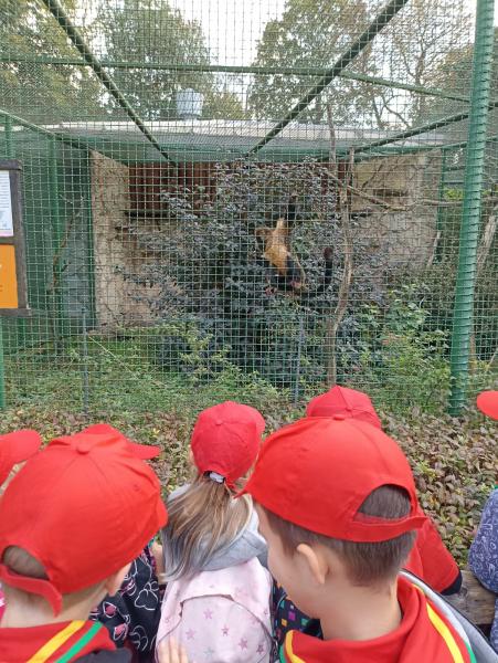 Zuchy z 36. GZ Ogniste Smoki odwiedził wrocławskie ZOO