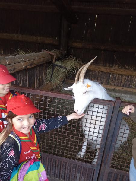 Zuchy z 36. GZ Ogniste Smoki odwiedził wrocławskie ZOO