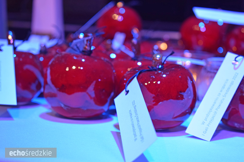 1. edycja gali Przyjaciół Powiatu Średzkiego