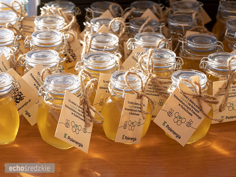 Zwieńczenie budowy farmy wiatrowej w Kostomłotach