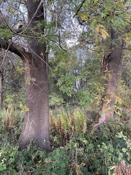 Tereny inwestycyjne na terenie Gminy Środa Śląska