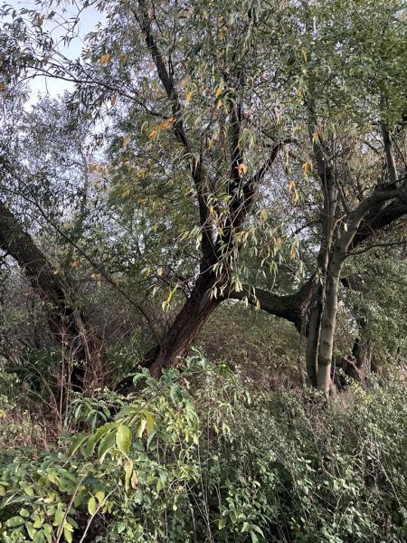 Tereny inwestycyjne na terenie Gminy Środa Śląska