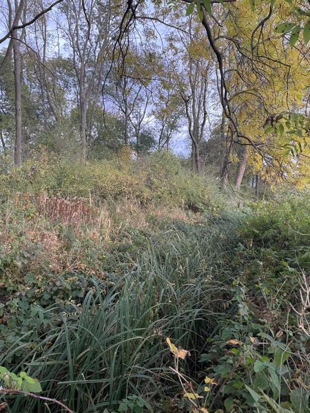 Tereny inwestycyjne na terenie Gminy Środa Śląska