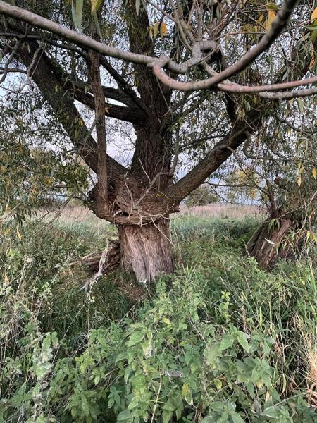 Tereny inwestycyjne na terenie Gminy Środa Śląska