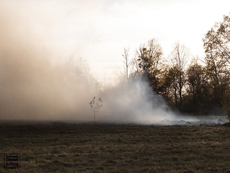 Uroczyste obchody Święta Niepodległości w Miękini