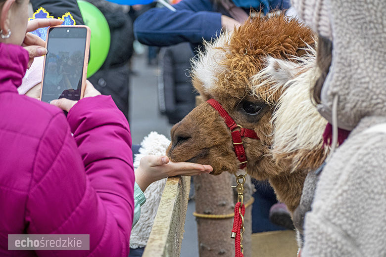 Orszak Trzech Króli w Malczycach