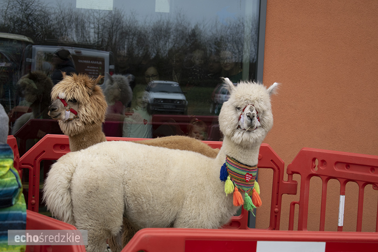 Finał WOŚP w Lutyni