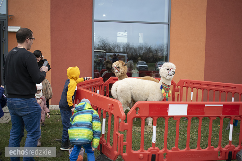 Finał WOŚP w Lutyni