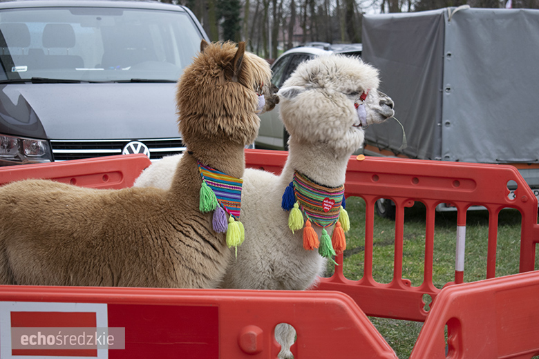 Finał WOŚP w Lutyni