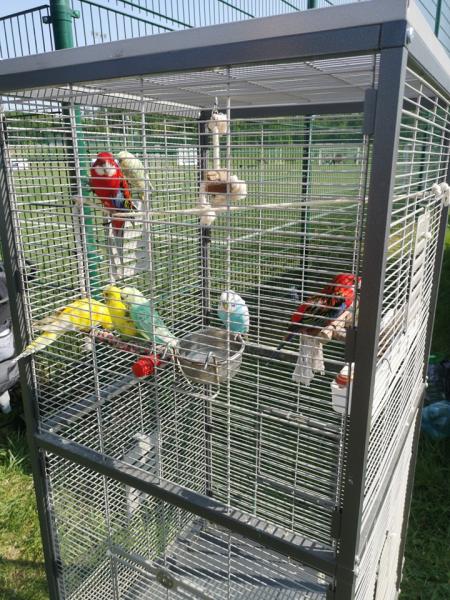 Dzień Diecka w Miękini