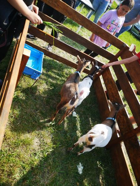 Dzień Diecka w Miękini