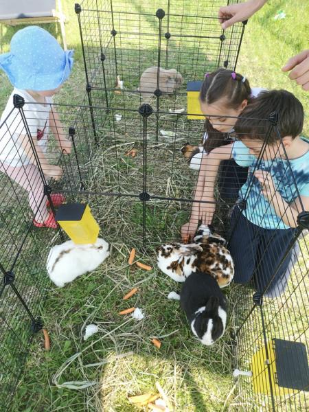 Dzień Diecka w Miękini