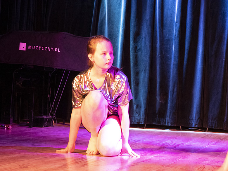 Podsumowanie rocznej działalności zespołu Fenix