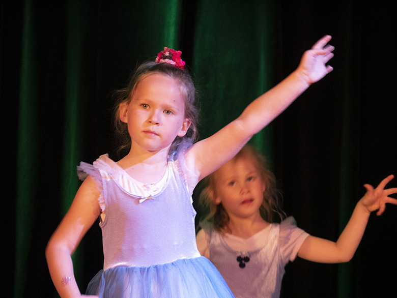 Podsumowanie rocznej działalności zespołu Fenix