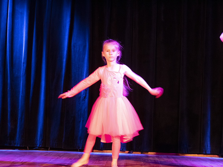 Podsumowanie rocznej działalności zespołu Fenix