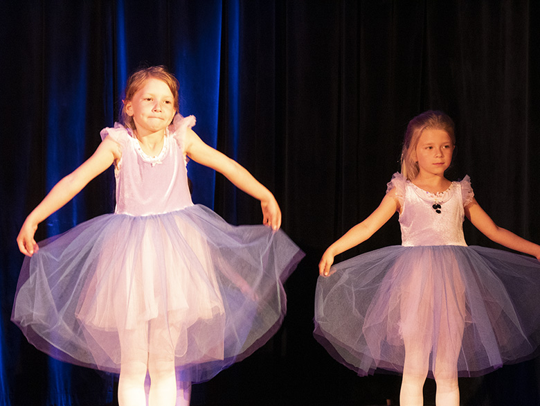 Podsumowanie rocznej działalności zespołu Fenix