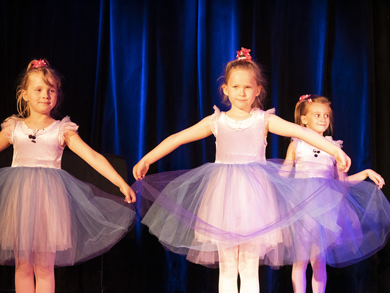 Podsumowanie rocznej działalności zespołu Fenix