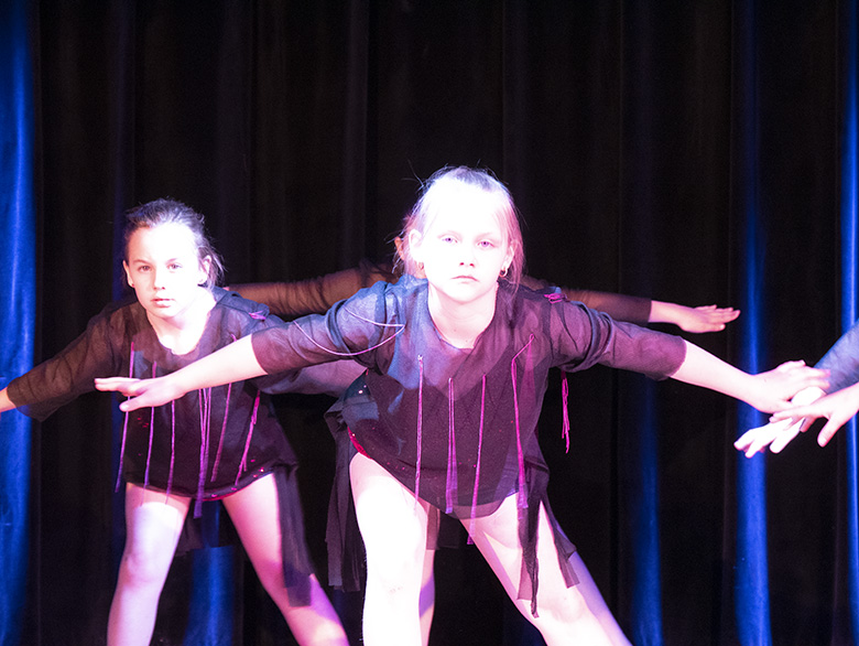 Podsumowanie rocznej działalności zespołu Fenix