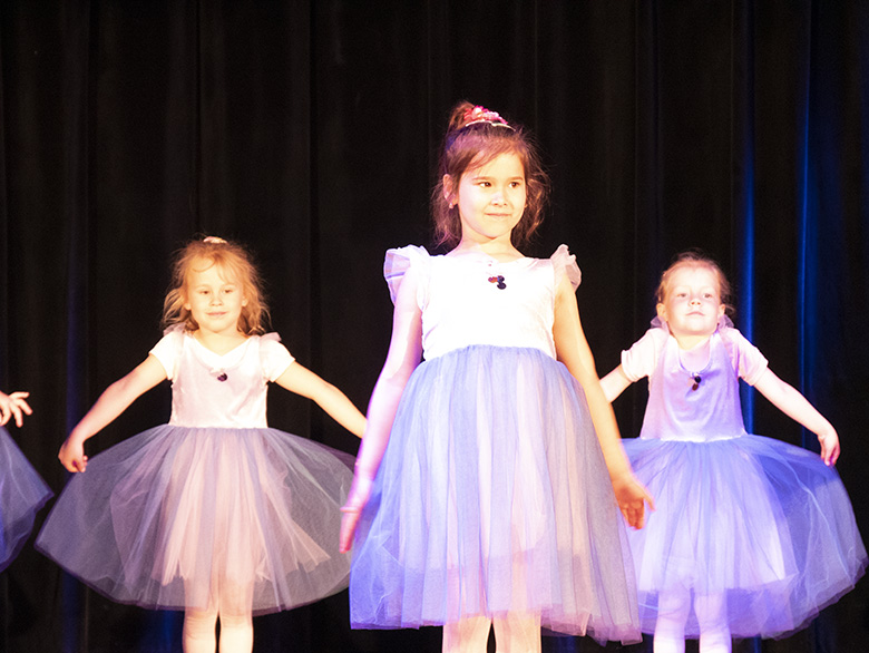 Podsumowanie rocznej działalności zespołu Fenix