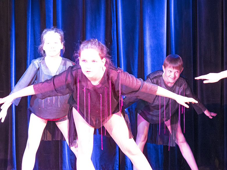 Podsumowanie rocznej działalności zespołu Fenix