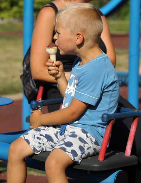 Lato z Komarami w Malczycach