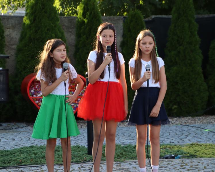 Obchody Święta Wojska Polskiego w Udaninie