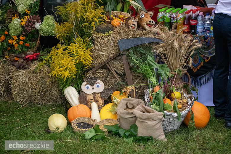 Świetna zabawa podczas Gminnych Dożynek w Mieczkowie