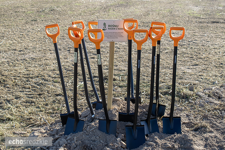 Kolejne spotkanie z przedstawicielami firmy Intel. Zasadzony dąb symbolem trwałości