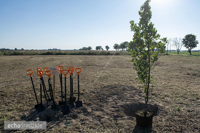 Kolejne spotkanie z przedstawicielami firmy Intel. Zasadzony dąb symbolem trwałości