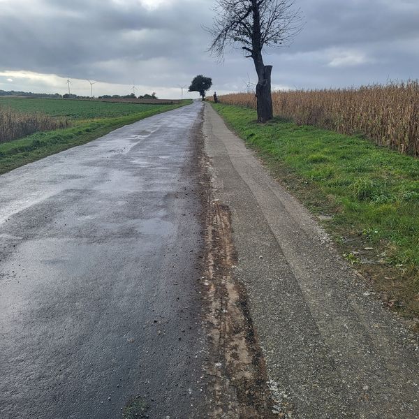 Przebudowa drogi relacji Piotrowice-Paździorno