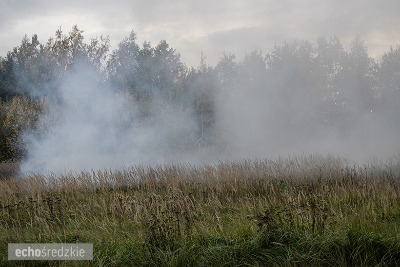 Uroczyste obchody Święta Niepodległości w Miękini